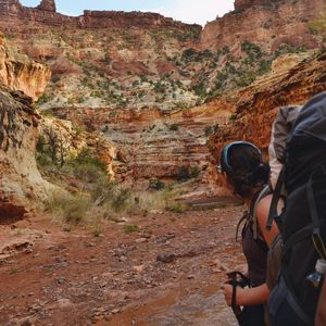 Meet your Posher, Haley